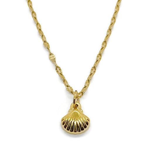 Seashell Necklace