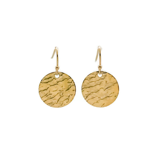 Coin Earrings